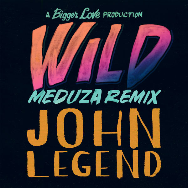 John Legend|Wild  (MEDUZA Remix)