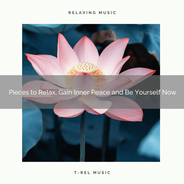Meditative Mantra Zone - 2020 Best: Pieces to Relax, Gain Inner Peace and Be Yourself Now Meditative Mantra Zone - 2020 Best: Pieces to Relax, Gain Inner Peace and Be Yourself Now