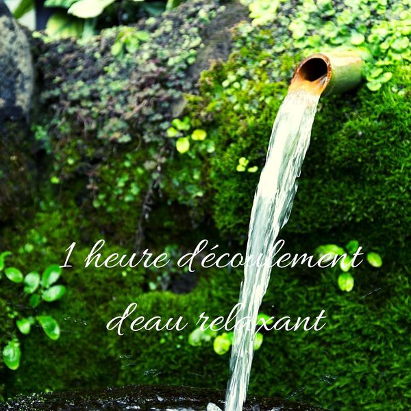 Zen Méditation Ambiance|1 heure d'écoulement d'eau relaxant: Son de la nature avec une musique relaxante profonde Zen Méditation Ambiance|1 heure d'écoulement d'eau relaxant: Son de la nature avec une musique relaxante profonde