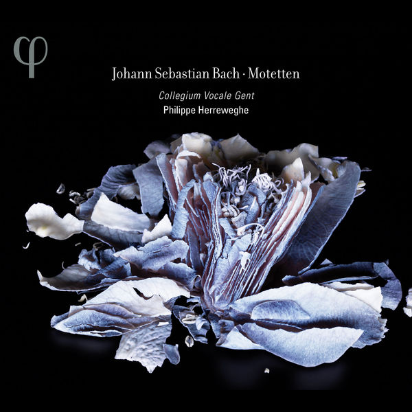 Collegium Vocale Gent|Johann Sebastian Bach : Motets (Intégrale) Collegium Vocale Gent|Johann Sebastian Bach : Motets (Intégrale)