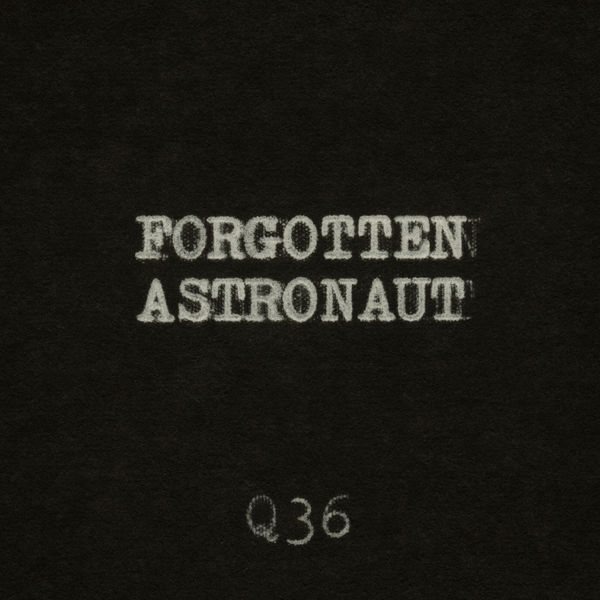 The Rentals - Forgotten Astronaut The Rentals - Forgotten Astronaut