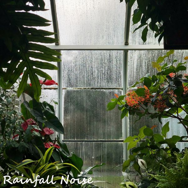 Calm Rain Music|Rainfall Noise