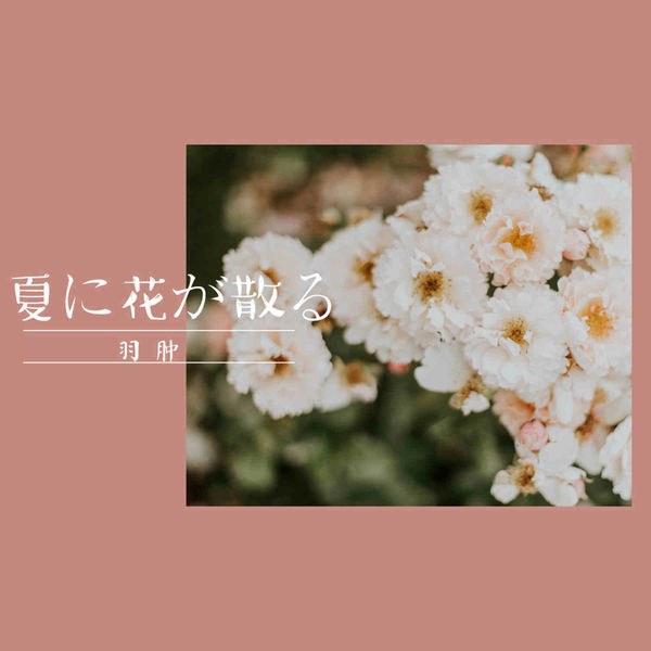 Album 夏に花が散る 羽肿 Qobuz Download And Streaming In High Quality