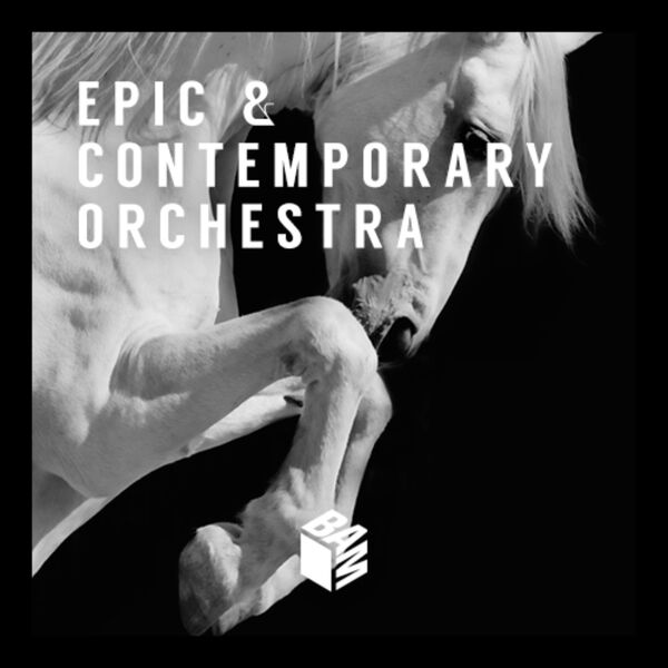 Bastien Deshayes - Epic & Contemporary Orchestra Bastien Deshayes - Epic & Contemporary Orchestra