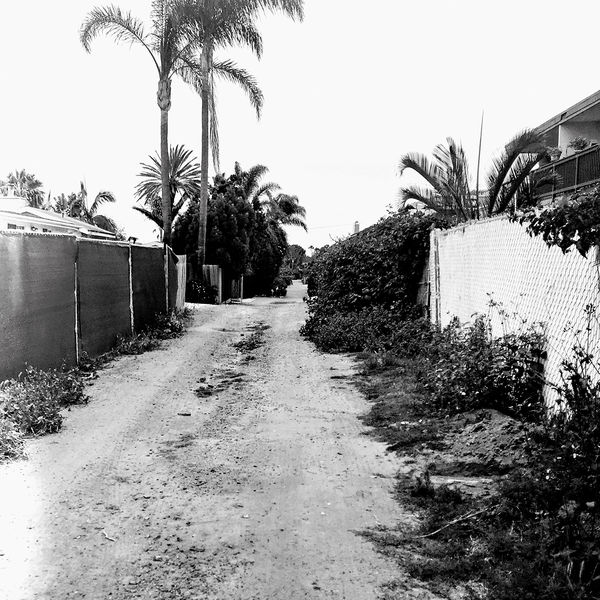 Throwing Muses|Bywater (Alternate version) Throwing Muses|Bywater (Alternate version)