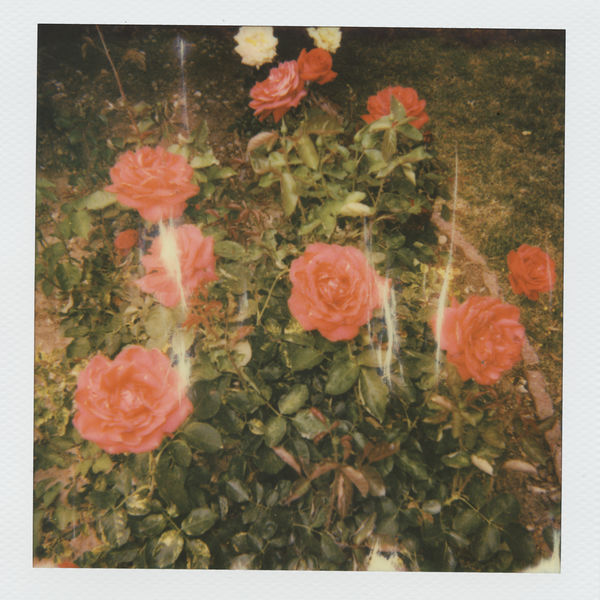girl in red - chapter 2 girl in red - chapter 2