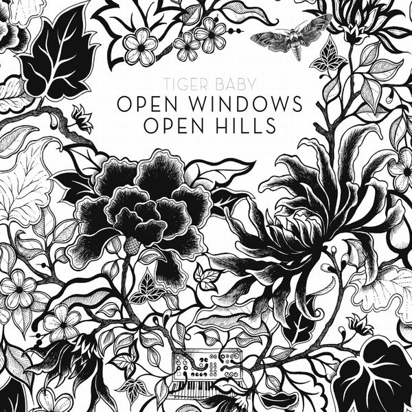 TIGER BABY - Open Windows Open Hills TIGER BABY - Open Windows Open Hills