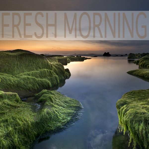 Ocean Sounds|Fresh Morning