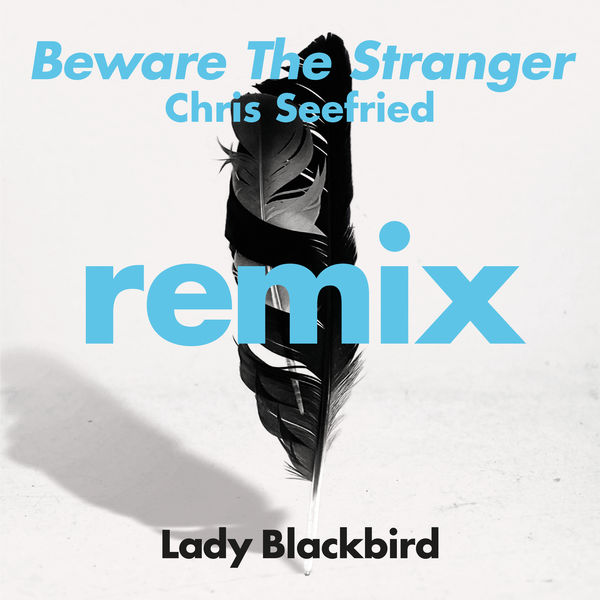 Lady Blackbird|Beware The Stranger (Chris Seefried Remix) [feat. Trombone Shorty]