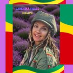 Lavender Fields Lavender Fields Roots