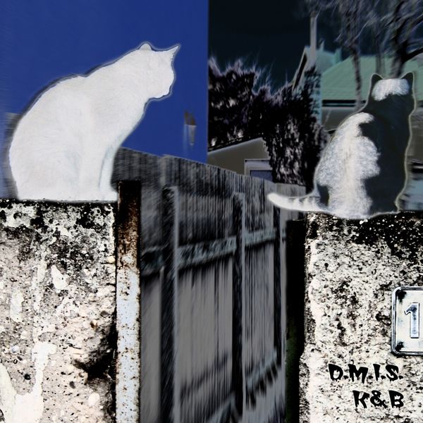 D.M.I.S.|K&B D.M.I.S.|K&B