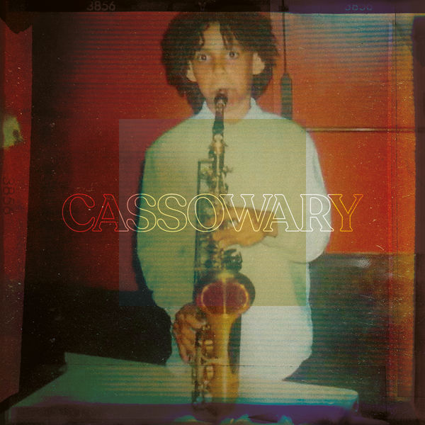 Cassowary - Cassowary Cassowary - Cassowary