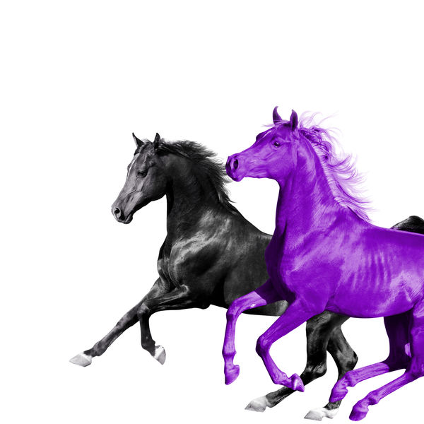 Lil Nas X|Old Town Road (feat. RM of BTS)  (Seoul Town Road Remix)