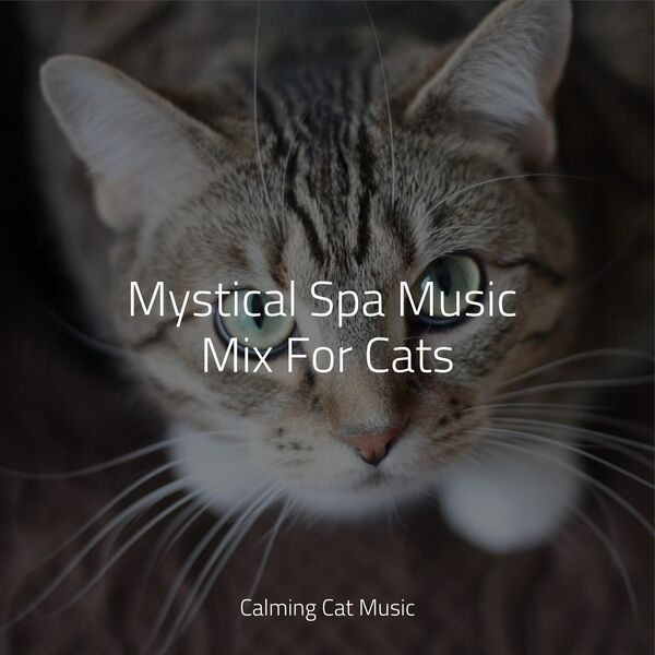 Mystical Spa Music Mix For Cats, Music for Cats TA Qobuz