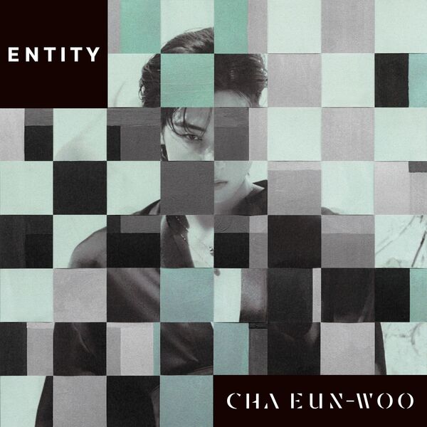 Cha Eun-Woo|ENTITY