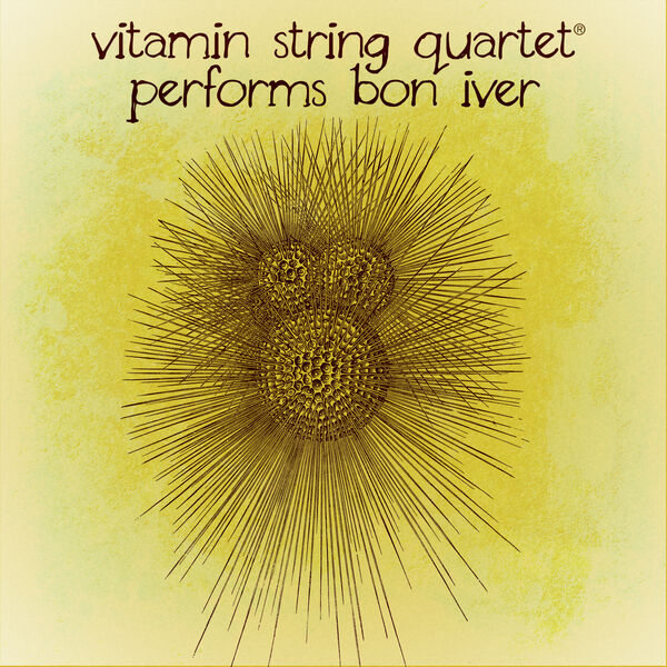 Vitamin String Quartet - Vitamin String Quartet Performs Bon Iver Vitamin String Quartet - Vitamin String Quartet Performs Bon Iver