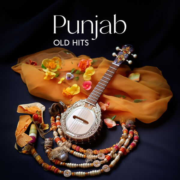Punjab Old Hits Hindi Instrumental Music Bansuri Flute, Sitar