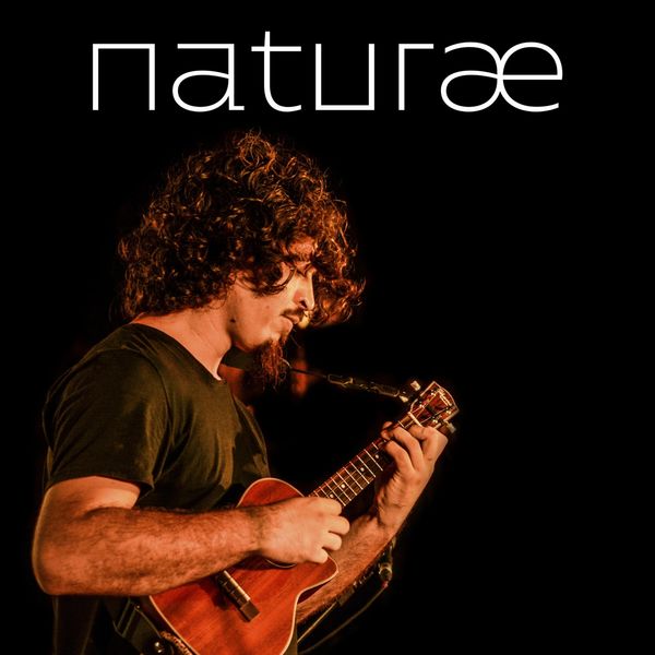João Tostes - Naturæ João Tostes - Naturæ
