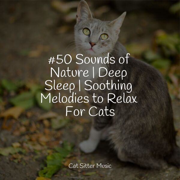50 Sounds of Nature Deep Sleep Soothing Melodies to Relax For Cats