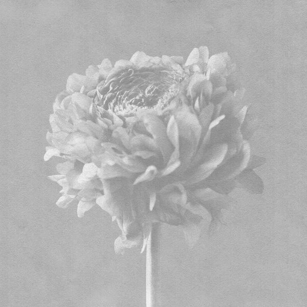 Imminence|To the Light Imminence|To the Light