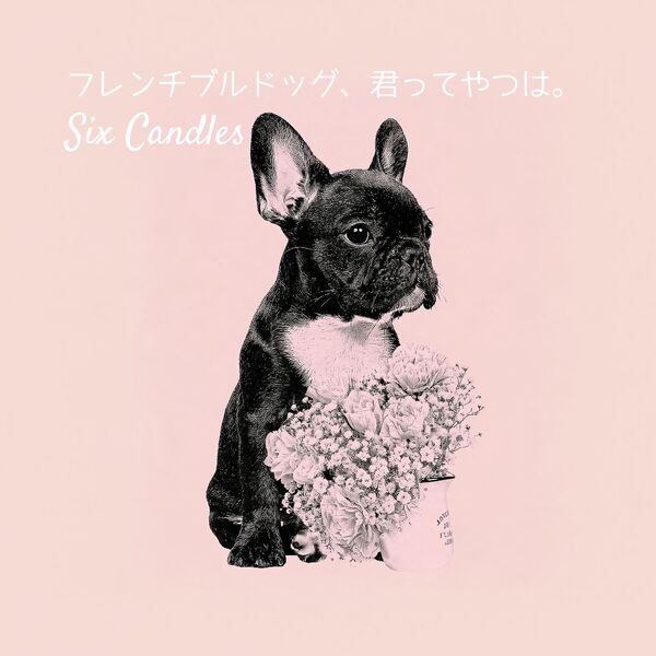 フレンチブルドッグ、君ってやつは。, Six Candles - Qobuz