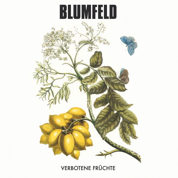 Blumfeld|Verbotene Früchte Blumfeld|Verbotene Früchte