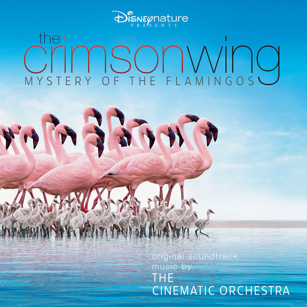The Cinematic Orchestra - The Crimson Wing: Mystery of the Flamingos The Cinematic Orchestra - The Crimson Wing: Mystery of the Flamingos