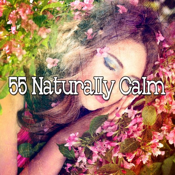 Sleep Sounds of Nature - 55 Naturally Calm Sleep Sounds of Nature - 55 Naturally Calm