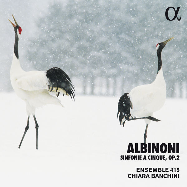 Ensemble 415|Albinoni: Sinfonie a Cinque, Op. 2