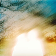 米津玄師　まとめ売り c7r1mtr1ernga_230.jpg