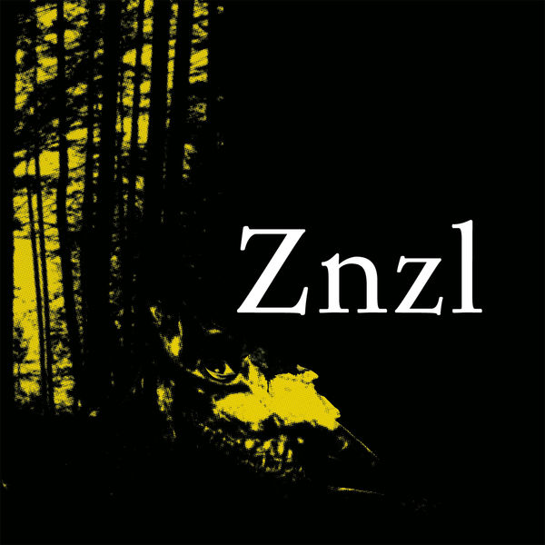 Znzl|Gaze Upon