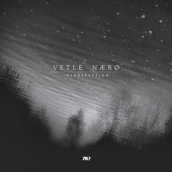 Vetle Nærø|Introspection Vetle Nærø|Introspection