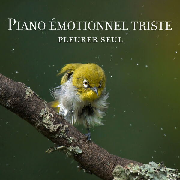 Piano émotionnel triste: Pleurer seul, Meilleures pièces de piano ...