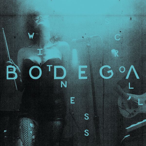 Bodega|Witness Scroll Bodega|Witness Scroll