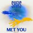 sufis met you