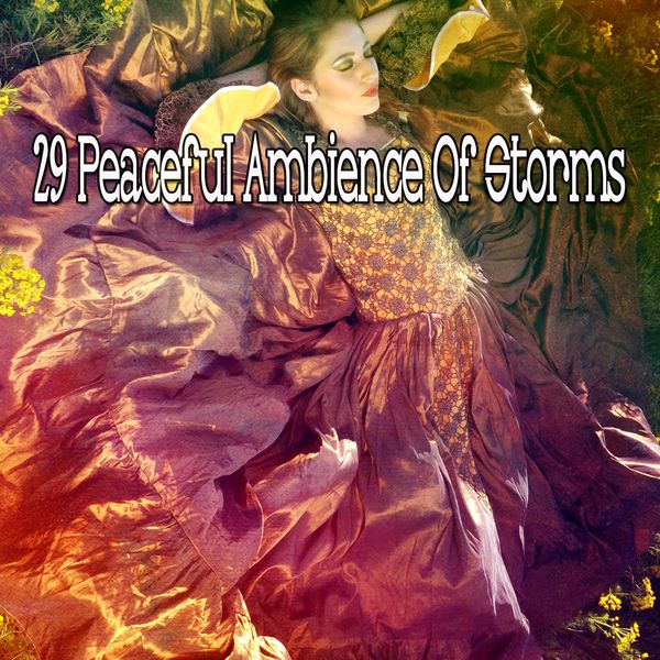 Rain Sounds & White Noise - 29 Peaceful Ambience of Storms Rain Sounds & White Noise - 29 Peaceful Ambience of Storms