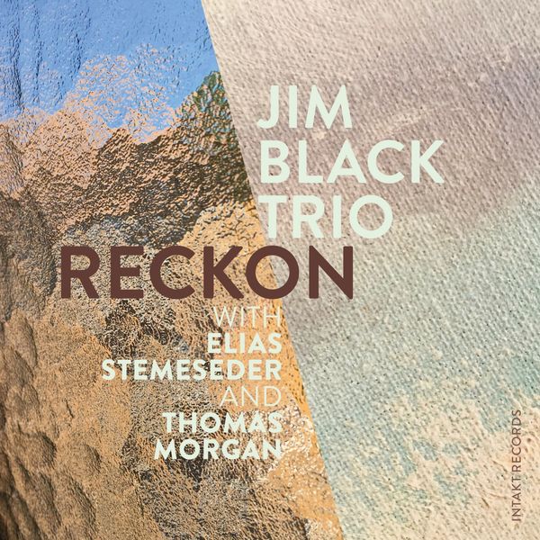 Jim Black Trio|Reckon