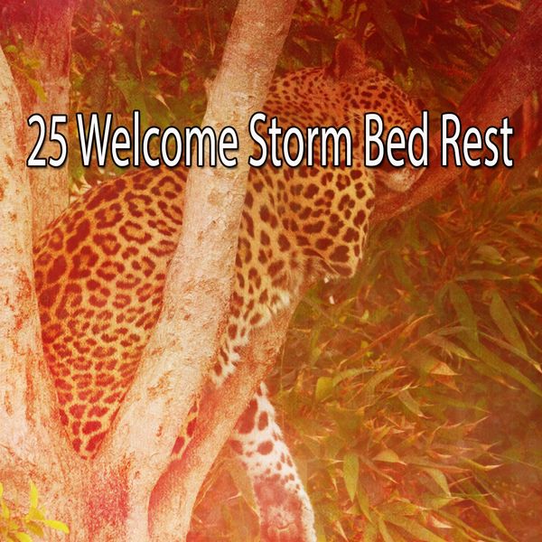 Rain Sounds|25 Welcome Storm Bed Rest