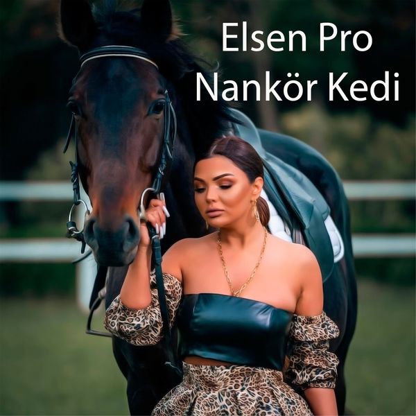nankör kedi remix