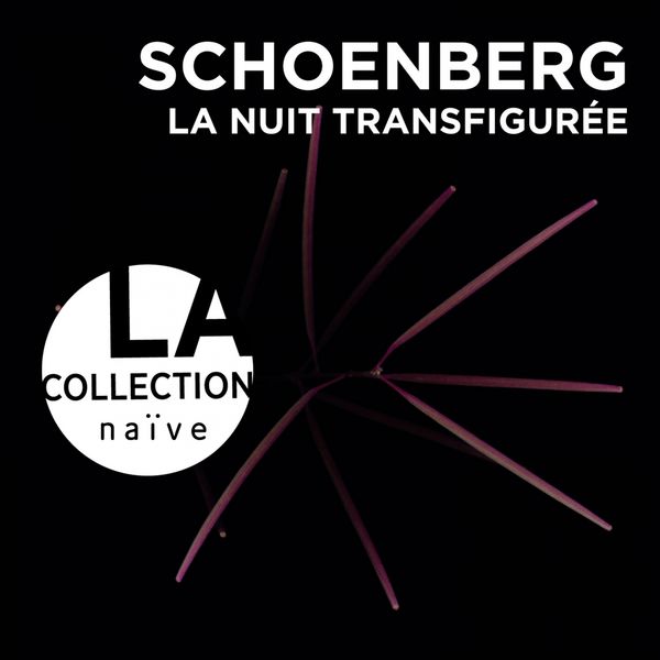 Arditti String Quartet|Schoenberg: La nuit transfigurée Arditti String Quartet|Schoenberg: La nuit transfigurée