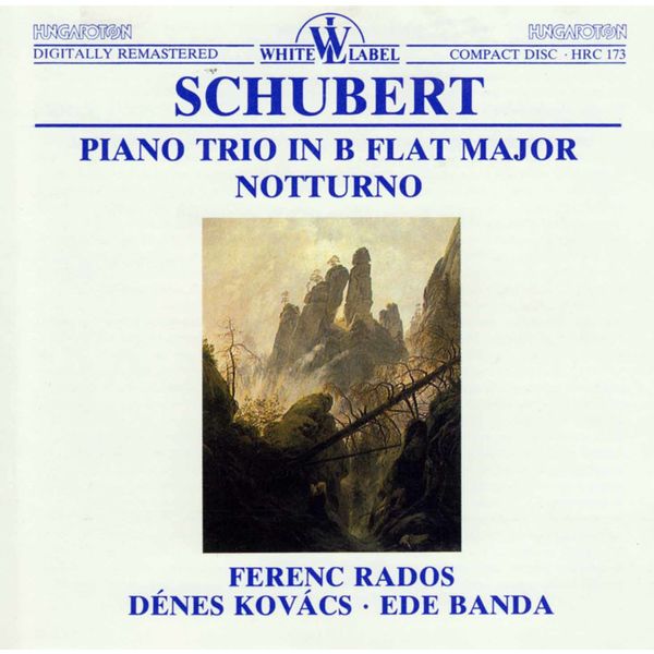 Schubert Piano Trio in B Flat Major Notturno, Denes Kovacs Qobuz