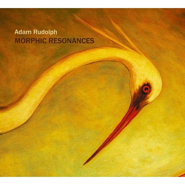 Adam Rudolph|Morphic Resonances Adam Rudolph|Morphic Resonances