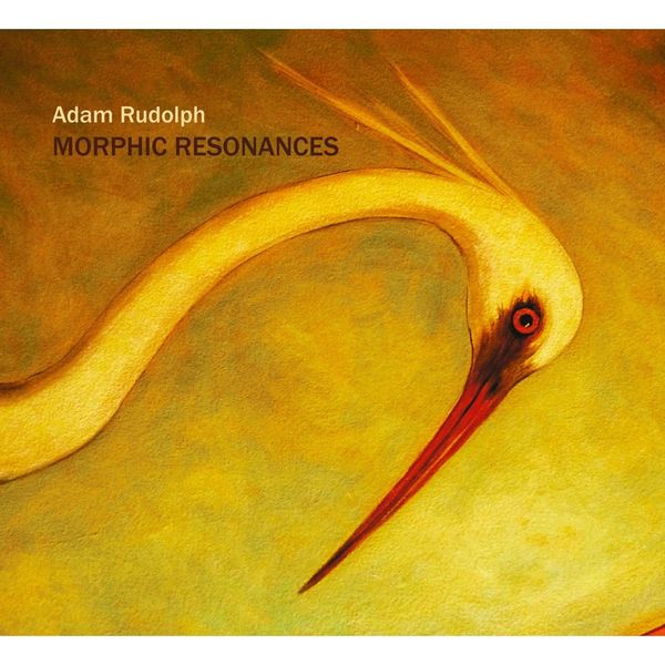 Adam Rudolph|Morphic Resonances