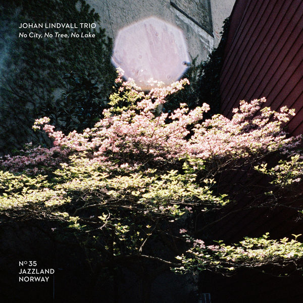 Johan Lindvall Trio|No City, No Tree, No Lake Johan Lindvall Trio|No City, No Tree, No Lake