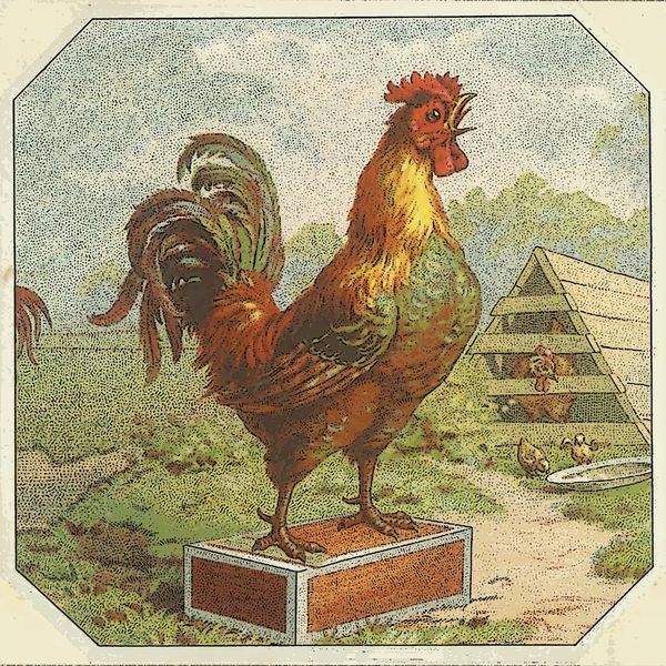 Art van Damme - Flapping Wings Art van Damme - Flapping Wings