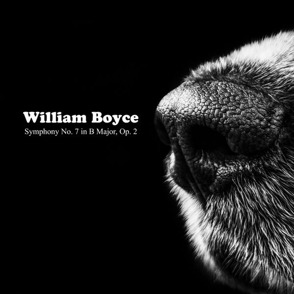 William Boyce|Symphony No. 7 in B Major, Op. 2