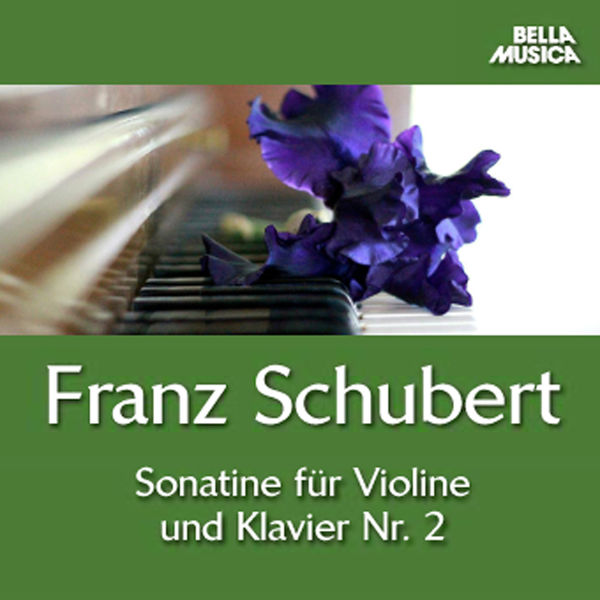 Evgueni Bushkov - Schubert: Sonatine No. 2 - Trio No. 1 Evgueni Bushkov - Schubert: Sonatine No. 2 - Trio No. 1