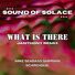 Sound Of Solace What is There (feat. Mike Seabass Shipman & Scarciglia)