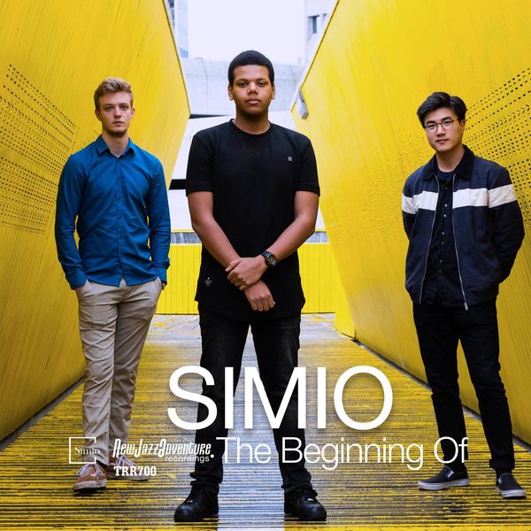 Simio|The Beginning Of