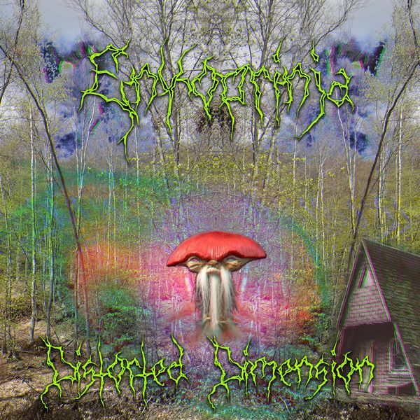 Enkoprinja - Distorted Dimension Enkoprinja - Distorted Dimension